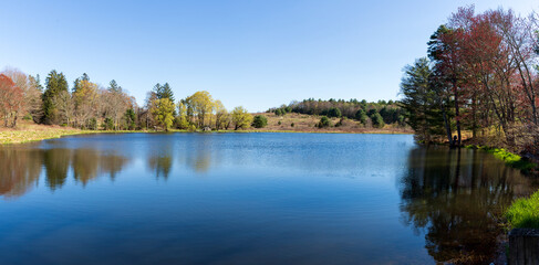 reflection of trees in the lake