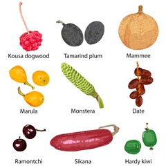 A set of fruits on a white background with their names. - 433465308