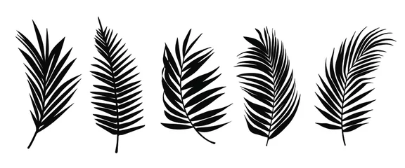 Fotobehang Beautiful palm tree leaf set silhouette background vector illustration  © SarraMagdalina