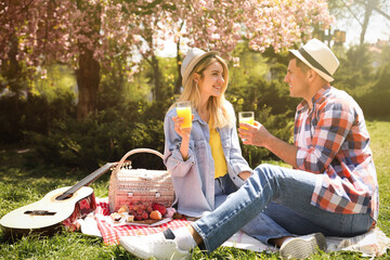 Happy couple having picnic in park on sunny day