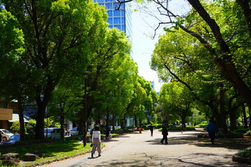 Shiba park in Tokyo, Japan - 日本 東京 芝公園