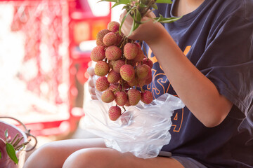 The female merchant is bringing a bunch of fresh red lychees into a plastic bag for a customer. - Powered by Adobe