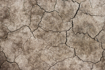 texture of the ground in the fields Ground crack drought background image