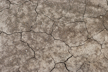 texture of the ground in the fields Ground crack drought background image