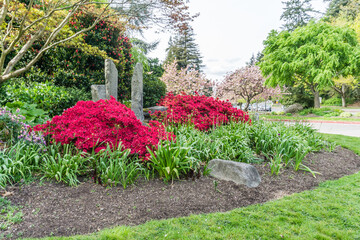 Red Flowers At Park 2