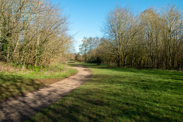 Obraz premium Meadow in a park, UK