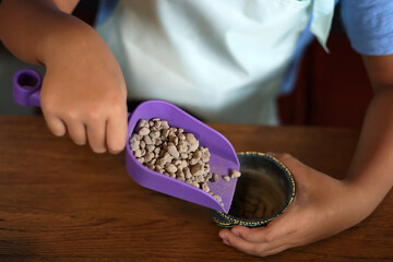 Asian boy make mini gardening cactus in the colorful pottery little cactus pot . Home gardening hobby concept. Selective focus stone.