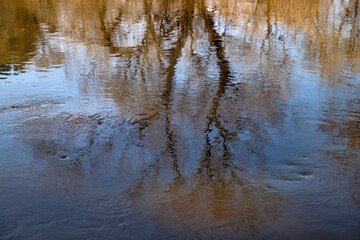 Obraz na płótnie Canvas spring flood reflections