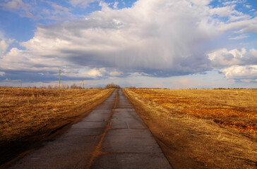 Fototapeta premium natural landscape yellow field and blue sky with clouds, concrete road through the field goes into the horizon