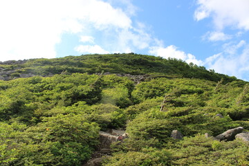 Fototapeta na wymiar 福島県の箕輪山から鬼面山への登山