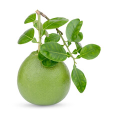 Fresh Pummelo with leaves isolated on white background