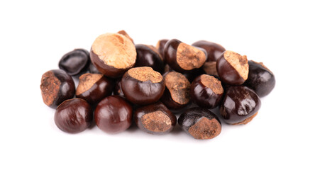 Guarana seed isolated on white background. Dietary supplement guarana, caffeine cource for energy drinks. Paullinia cupana.