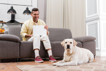 smiling freelancer sitting on sofa with laptop near labrador lying on carpet