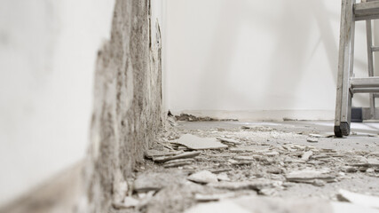 house renovation concept, wall in demolition with plaster rubble and ladder, white background with...