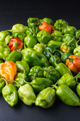 Plakat habanero chili peppers, ripe and unripe hot variety of capsicum chinense, green, orange and red color fruits on a dark surface