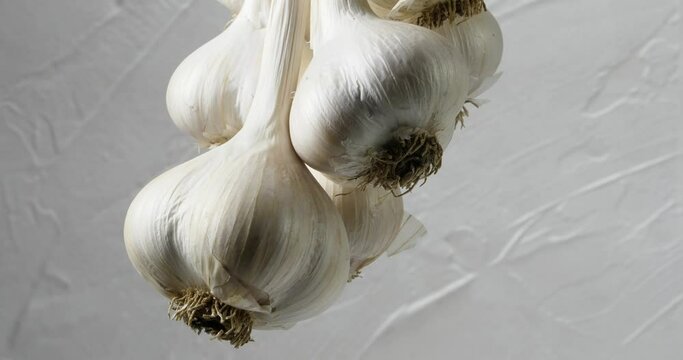 The harvest of a bunch of garlic hung drying and spinning slowly