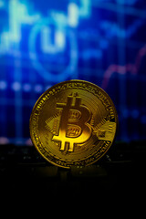bitcoin gold coin on keyboard and chart with soft-focus and over light in the background. cryptocurrency concept.