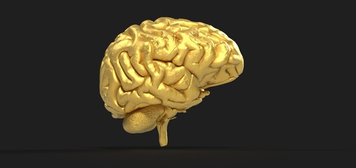 Creative background, the human brain on a blue background, the hemisphere is responsible for logic, and responsible for creativity. of different