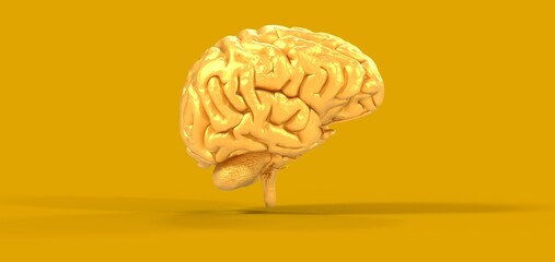 Creative background, the human brain on a blue background, the hemisphere is responsible for logic, and responsible for creativity. of different