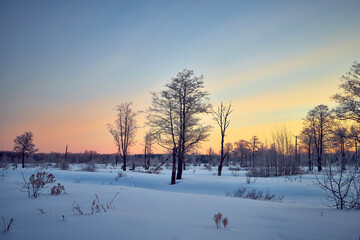 Winter landscape with trees on sunrise in Russia.