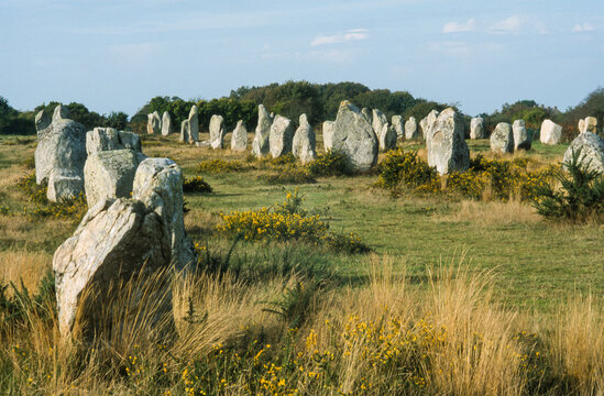 Alignements de Carnac, patrimoine mondial de l'UNESCO, Carnac, La Trinit&eacute; sur Mer, Bretagne, Morbihan, 56