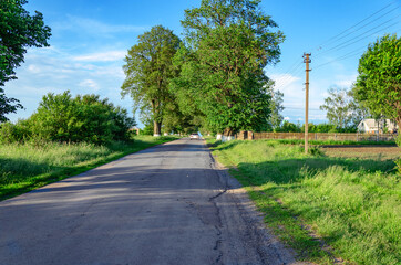 Fototapeta na wymiar Road in a village in Ukraine between large green poplar trees. Car on the road