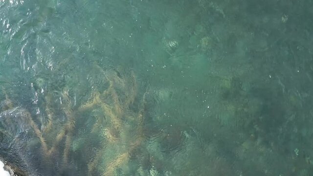 4k Blue Green Forest River Olympic National Forest Drone Aerial