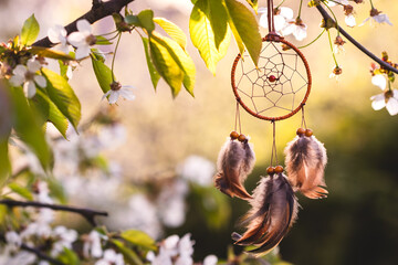 Dreamcatcher hanging on blooming tree in wind. Spirituality amulet and good dreaming symbol of...