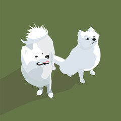 White dogs on a green background.