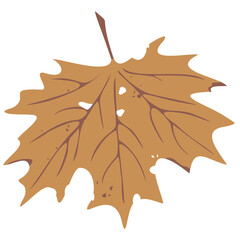 Vector illustration of maple leaf. Fall season design.