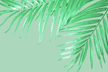 Tropical Green Shiny Palm Leaf Border on Green Background