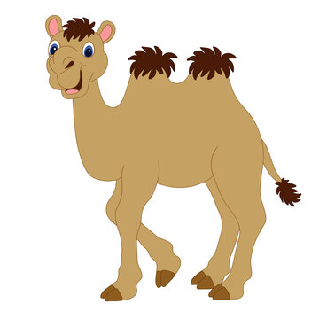 Camel icon. Isolated vector, transparent, illustration graphic design