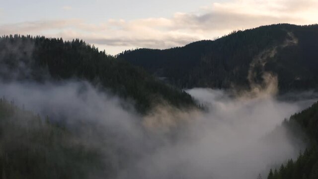 4k Olympic Forest with Fog Cinematic Aerial Drone