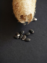 Sponge gourd or Luffa cylindrica or Egyptian cucumber, seeds out of the fibrous sponge on black...