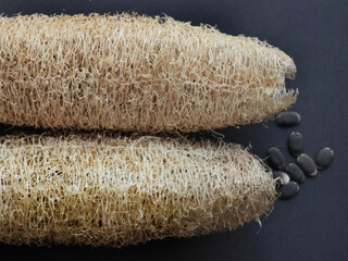 Sponge gourd or Luffa cylindrica or Egyptian cucumber, seeds out of the fibrous sponge on black...