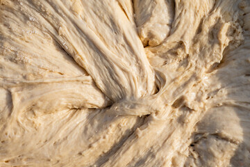 Bread dough top view. Full frame. Uncooked dough background. Baking concept.