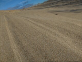 sand dunes in the desert