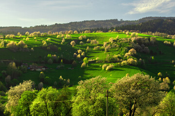Amazing view on the village called Hrinova. Beautiful nature. Spring scenery. Blooming trees.  © Simona