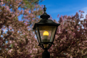 Fototapeta na wymiar Street light in front of cherry blossoms
