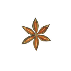 Star anise isolated on white background. Watercolor hand drawing illustration. Chinese seed. Perfect for print.