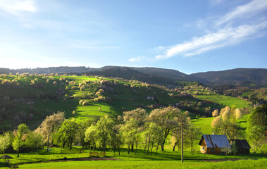 Amazing view on the village called Hrinova. Beautiful nature. Spring scenery. Blooming trees.  © Simona