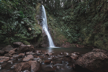 cascade bois banane en guadeloupe