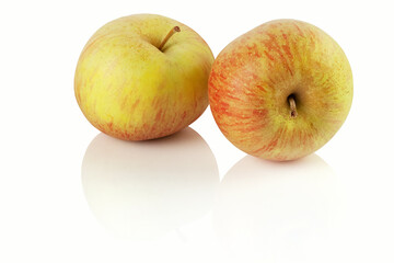 apples on a white background