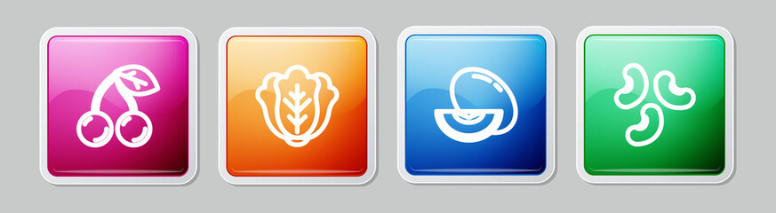 Set line Cherry, Cabbage, Melon fruit and Beans. Colorful square button. Vector