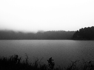 Black and white nature