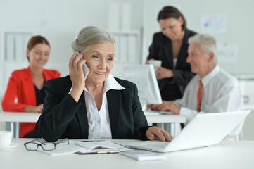 Fototapeta premium group of successful business people