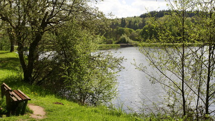 Uferblick am Noswendeler See