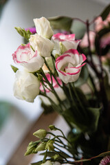Spring flowers in a vase