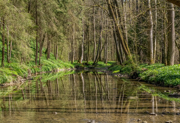 Obraz premium River Kupfer at spring time