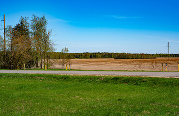 panorama with road and a field in summer